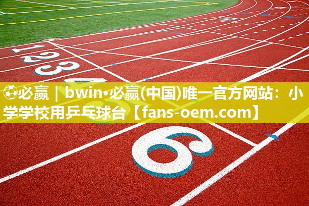 小学学校用乒乓球台