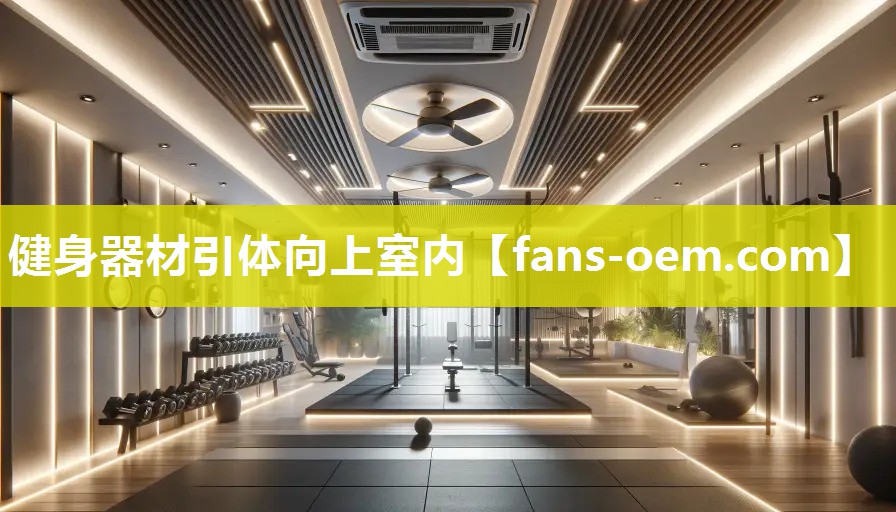健身器材引体向上室内